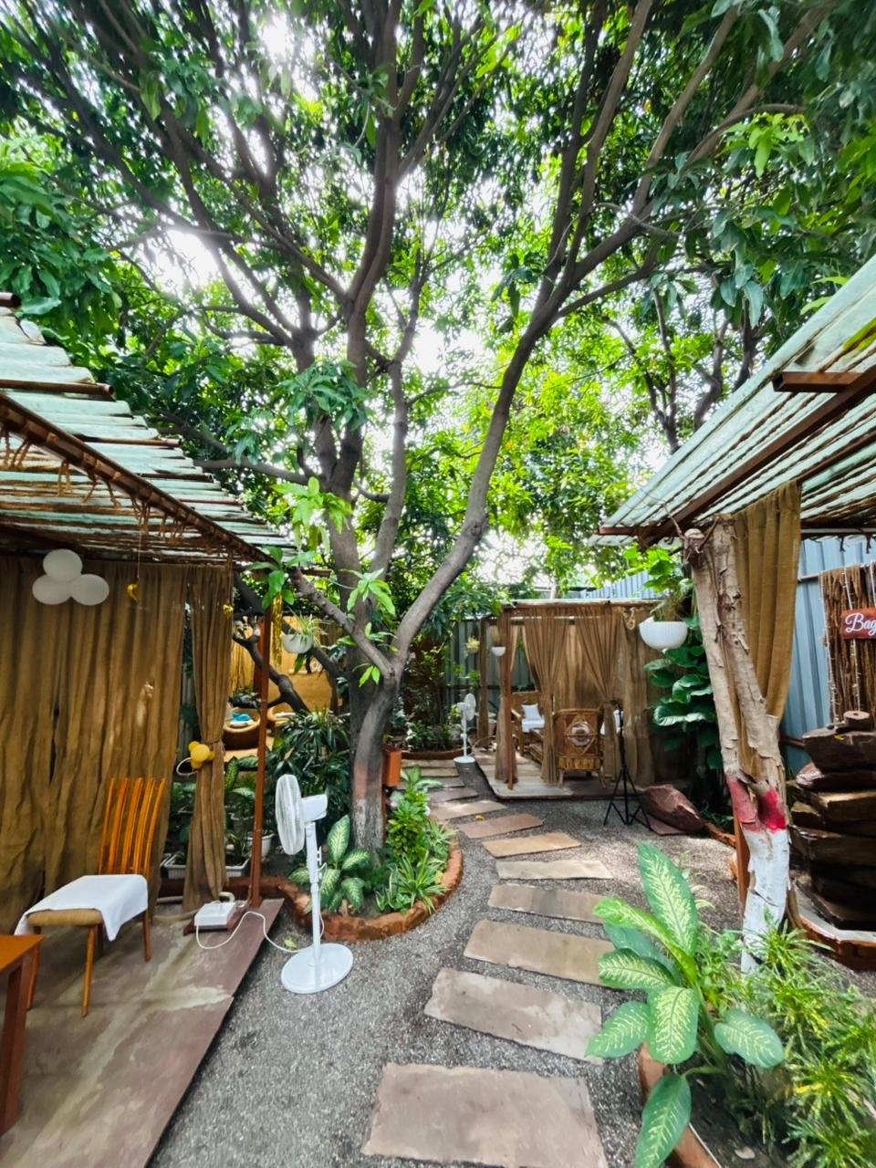 The stone pathway through Bageecha's garden, shaded by a mango tree